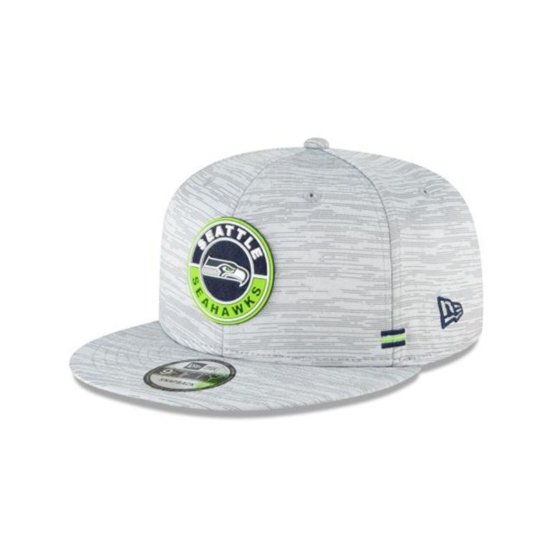 NFL Seattle Seahawks Official Fall Sideline 9Fifty Snapback (PBA2448) - Grey New Era Caps